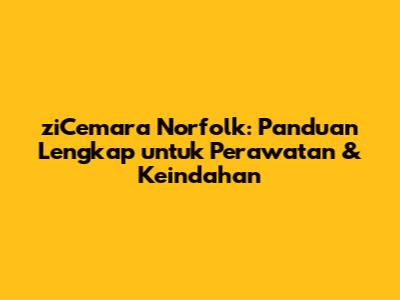 ziCemara Norfolk: Panduan Lengkap untuk Perawatan & Keindahan