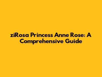 ziRosa 'Princess Anne' Rose: A Comprehensive Guide